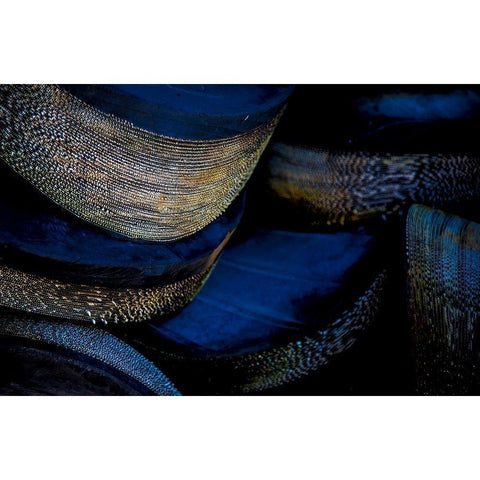 Hafen 3 Black Modern Wood Framed Art Print with Double Matting by Krause, Michael