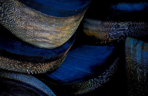 Hafen 3 Black Ornate Wood Framed Art Print with Double Matting by Krause, Michael