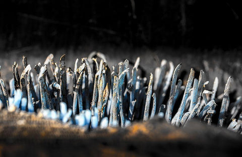 Hafen 5 Black Ornate Wood Framed Art Print with Double Matting by Krause, Michael