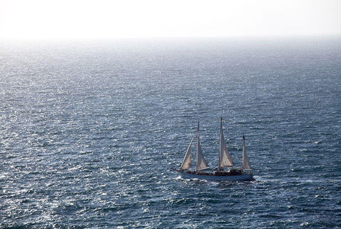 Hart am Wind Black Ornate Wood Framed Art Print with Double Matting by Pawlitzki, Micha