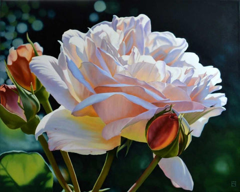 Buds White Modern Wood Framed Art Print with Double Matting by Schuh, Michael