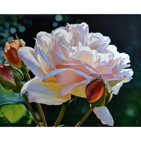 Buds White Modern Wood Framed Art Print by Schuh, Michael