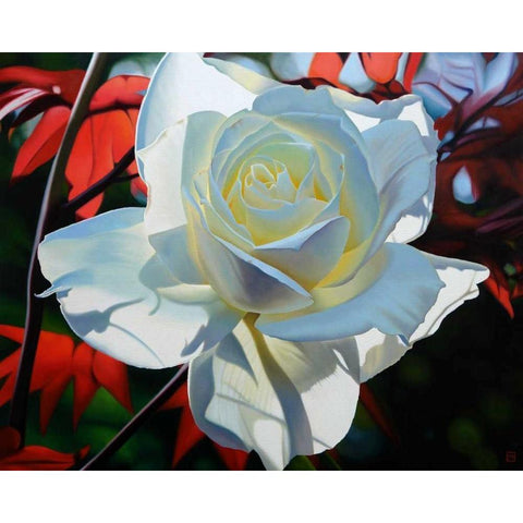 Summers Last Rose Gold Ornate Wood Framed Art Print with Double Matting by Schuh, Michael