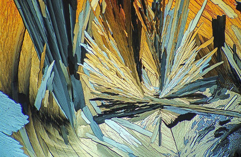 BernsteinsÃ¤ure Black Ornate Wood Framed Art Print with Double Matting by Juzak, Peter