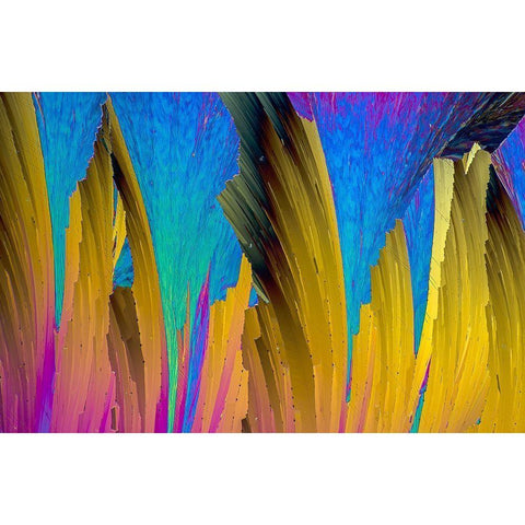 Paracetamol Black Modern Wood Framed Art Print by Juzak, Peter