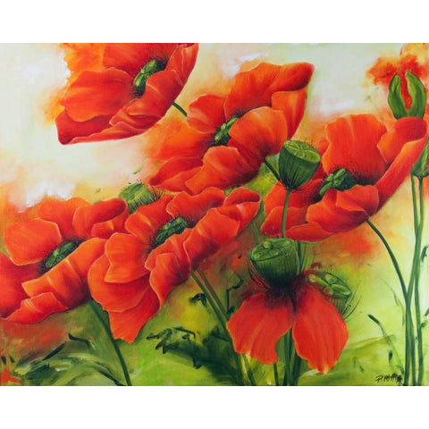 Mohnbluten II Black Modern Wood Framed Art Print with Double Matting by Ruther, Petra