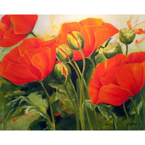 Mohnbluten III Black Modern Wood Framed Art Print with Double Matting by Ruther, Petra