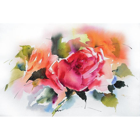 Die Rose White Modern Wood Framed Art Print by Maier, Werner