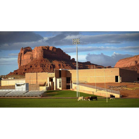 Bovine Football Black Modern Wood Framed Art Print by Stalowy, John