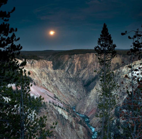 North Rim Moon Rising Black Ornate Wood Framed Art Print with Double Matting by Stalowy, John