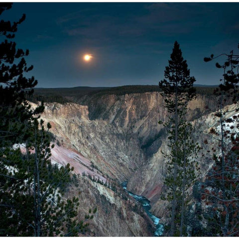 North Rim Moon Rising Gold Ornate Wood Framed Art Print with Double Matting by Stalowy, John