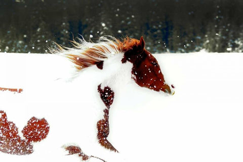 Paint White Modern Wood Framed Art Print with Double Matting by Stalowy, John