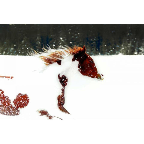 Paint Black Modern Wood Framed Art Print by Stalowy, John