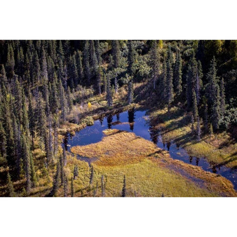 River Below White Modern Wood Framed Art Print by Stalowy, John