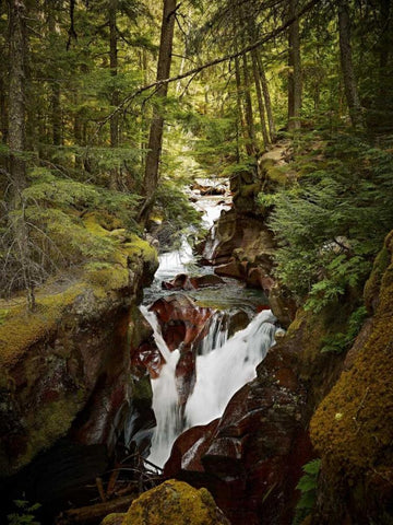 Avalanche Creek Black Ornate Wood Framed Art Print with Double Matting by Stalowy, John