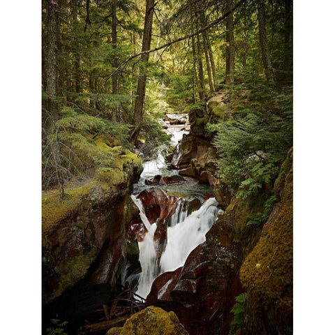 Avalanche Creek White Modern Wood Framed Art Print by Stalowy, John