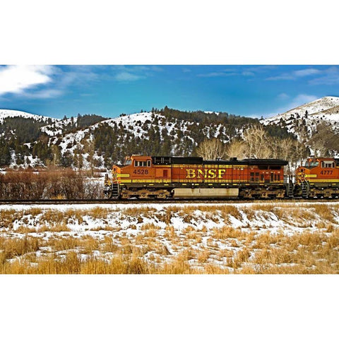 BNSF White Modern Wood Framed Art Print by Stalowy, John