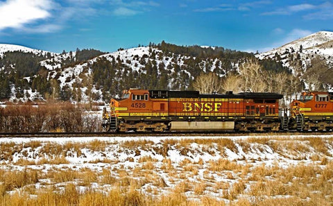 BNSF Black Ornate Wood Framed Art Print with Double Matting by Stalowy, John