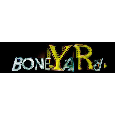 Boneyard White Modern Wood Framed Art Print by Stalowy, John