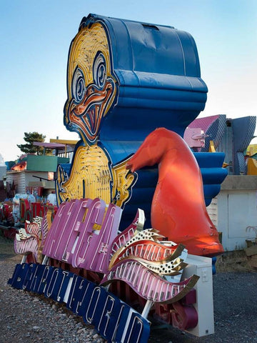 Duck Black Ornate Wood Framed Art Print with Double Matting by Stalowy, John