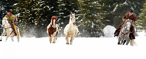 Round Up White Modern Wood Framed Art Print with Double Matting by Stalowy, John