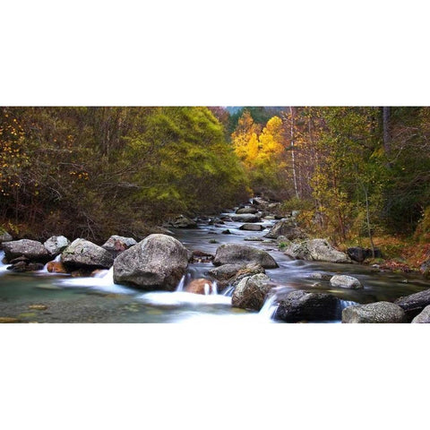 Forest and river 802 Black Modern Wood Framed Art Print with Double Matting by Palacios, J.A.