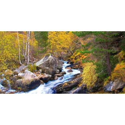 Forest and river 803 Black Modern Wood Framed Art Print by Palacios, J.A.