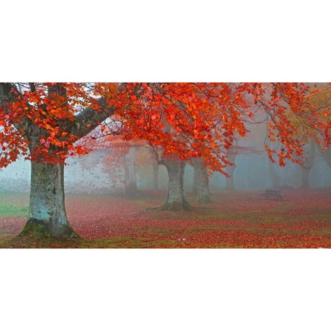 Red forest 804 White Modern Wood Framed Art Print by Palacios, J.A.
