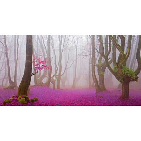 Lilac forest 812 Black Modern Wood Framed Art Print by Palacios, J.A.