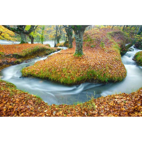 Forest and river 846 Black Modern Wood Framed Art Print by Palacios, J.A.