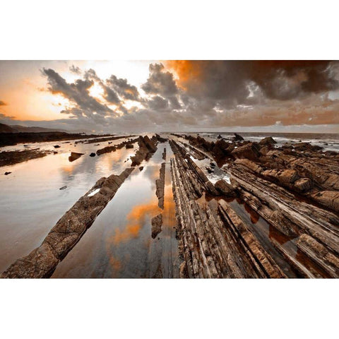 Wild coast 844 Gold Ornate Wood Framed Art Print with Double Matting by Palacios, J.A.