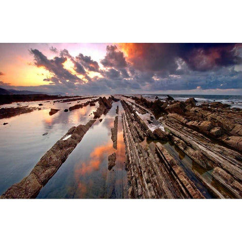 Wild coast 843 Gold Ornate Wood Framed Art Print with Double Matting by Palacios, J.A.