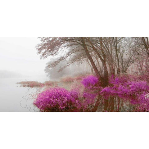 Foggy swamp 838 Gold Ornate Wood Framed Art Print with Double Matting by Palacios, J.A.