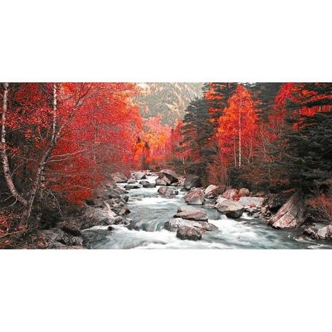 Red river and trees 831 Gold Ornate Wood Framed Art Print with Double Matting by Palacios, J.A.
