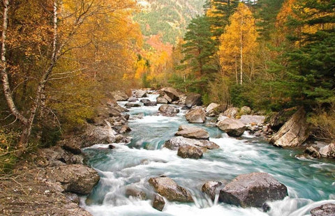 Wild river 830 Black Ornate Wood Framed Art Print with Double Matting by Palacios, J.A.