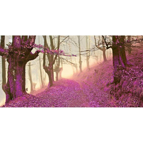 Forest in purple 827 Gold Ornate Wood Framed Art Print with Double Matting by Palacios, J.A.