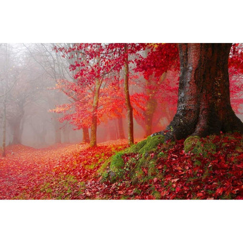 Millennial tree 824 White Modern Wood Framed Art Print by Palacios, J.A.