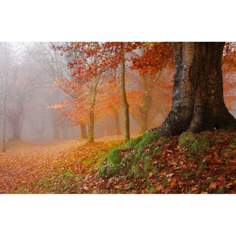 Millennial tree 823 Gold Ornate Wood Framed Art Print with Double Matting by Palacios, J.A.