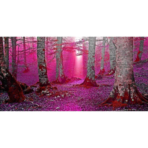 Forest and sunbeam 822 Black Modern Wood Framed Art Print with Double Matting by Palacios, J.A.