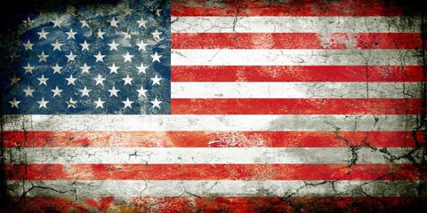 USA 1 Black Ornate Wood Framed Art Print with Double Matting by Robins, John H.