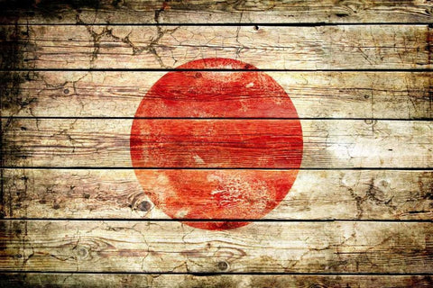 Japan 2 White Modern Wood Framed Art Print with Double Matting by Robins, John H.