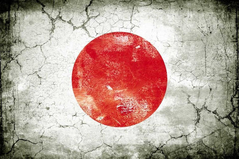 Japan 1 White Modern Wood Framed Art Print with Double Matting by Robins, John H.