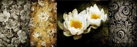 Collage Vintage II White Modern Wood Framed Art Print with Double Matting by Willow, Susan P.