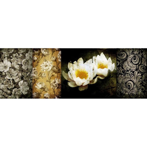 Collage Vintage II Black Modern Wood Framed Art Print by Willow, Susan P.