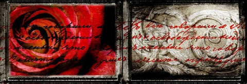 Letter and Roses Black Ornate Wood Framed Art Print with Double Matting by Willow, Susan P.