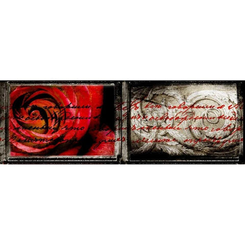 Letter and Roses White Modern Wood Framed Art Print by Willow, Susan P.