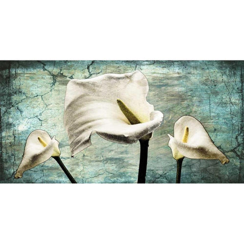 Callas I White Modern Wood Framed Art Print by Willow, Susan P.
