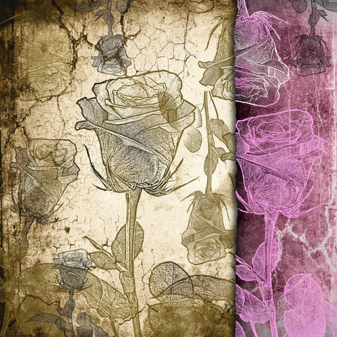 Stone and Roses A White Modern Wood Framed Art Print with Double Matting by Willow, Susan P.