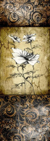 Brown Vintage II B Black Ornate Wood Framed Art Print with Double Matting by Willow, Susan P.