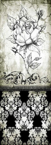 Rose Vintage II B Black Ornate Wood Framed Art Print with Double Matting by Willow, Susan P.